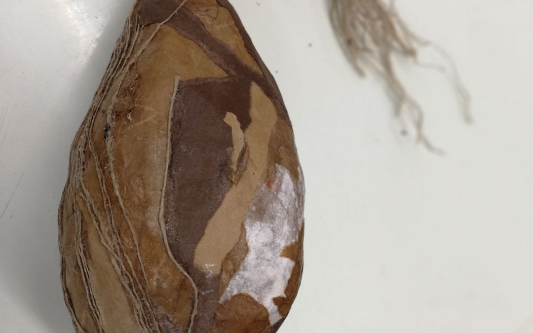 מיכלים – סדנת המשך – מחזור שני ינואר 2019- בהנחיית יובל עציוני