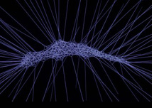 סיור  גלריות ומוזיאונים בעמק יזרעאל 13.11.18