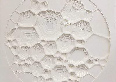 נייר מתקדמים