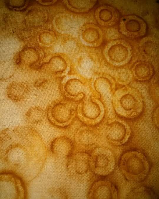 סדנת צביעה והדפס עם חלודה, בקיבוץ עמיר